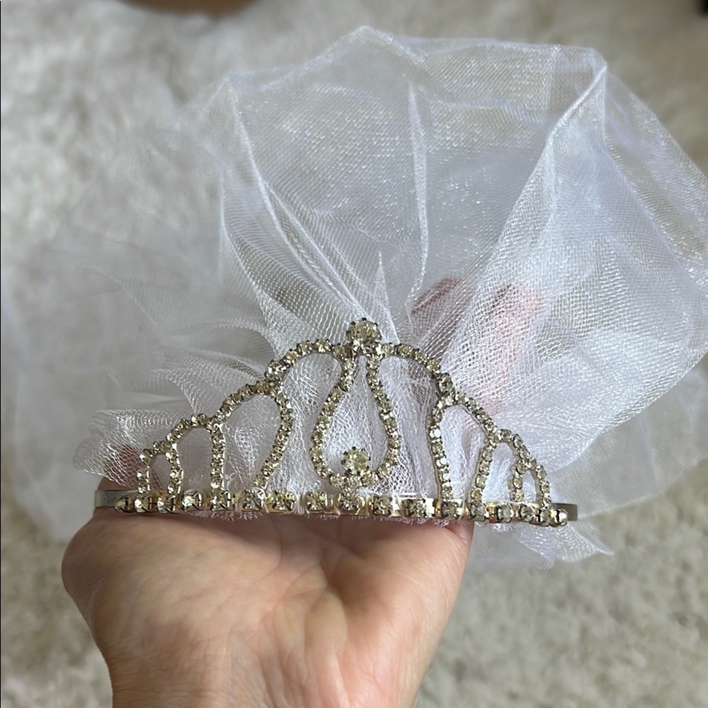 Elegant Silver Tiara with Veil